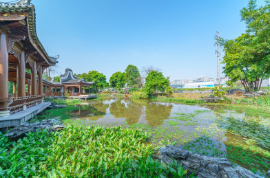 广州海珠湿地公园花园湖景传统中式走廊