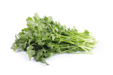 新鲜蔬菜香菜