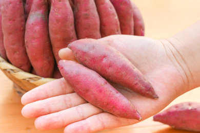 手里拿着小香薯