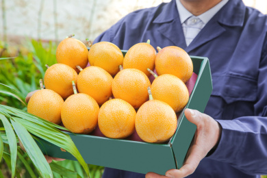 手里拿着热情果