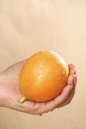 浅底上的热情果