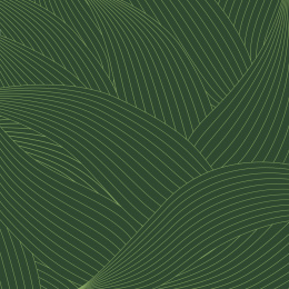 端午粽叶背景矢量纹理