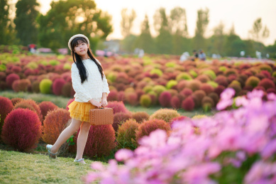 身穿白色针织衫的女孩与地肤草