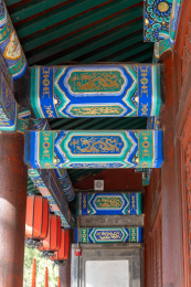 春日里的北京卧佛寺