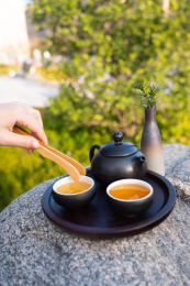 茶饮茶文化 