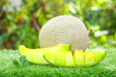 草地上放着切开的网纹蜜瓜