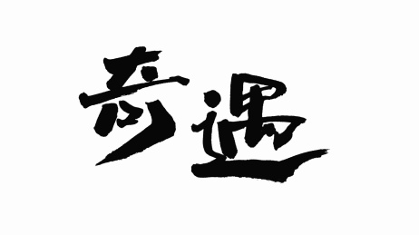 中国手写书法字体奇遇