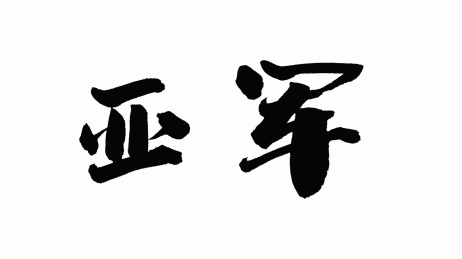 中国手写书法字体亚军