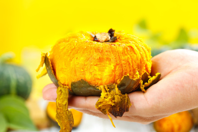 手拿剥皮的贝贝瓜