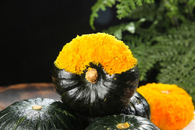 深底上的贝贝南瓜