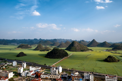 云南罗平金鸡峰丛油菜田