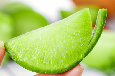 浅底上的沙窝萝卜