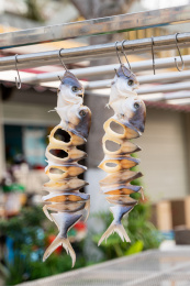 挂晒的海鱼鱼干