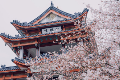 中国无锡鼋头渚赏樱阁