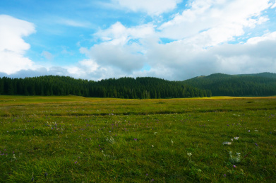 新疆天山草原牧场 赛里木湖风光