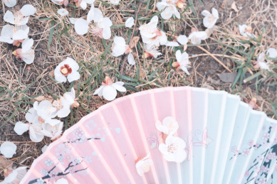 扇子上的落花   