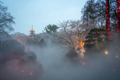 武汉东湖樱园夜樱