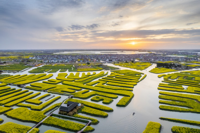 江苏省泰州市兴化千垛油菜花航拍