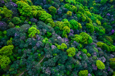 广东深圳梧桐山风景区风光