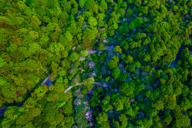广东深圳梧桐山风景区风光