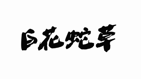 中国手写书法字体白花蛇草