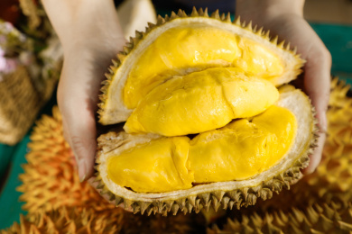 深底上的金枕榴莲