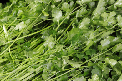 新鲜蔬菜香菜