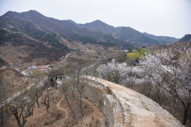 河北省唐山市  长城迁西段青山关春色