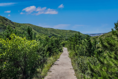 河北省张家口市安家沟森林公园步行栈道建筑