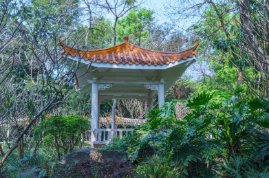 广州麓湖公园树林凉亭