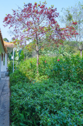 广州麓湖公园植谊园植谊亭园林景观