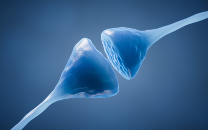 神经元细胞突触3D渲染