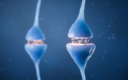 神经元细胞突触3D渲染