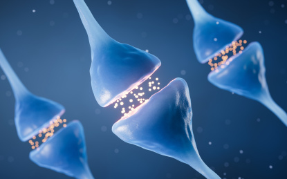 神经元细胞突触3D渲染