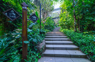 广州麓湖公园麓湖花园园林花架
