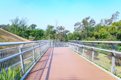 广州麓湖公园休闲环山栈道云道