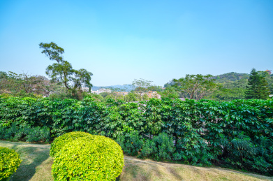 广州麓湖公园云道森林草地自然景观