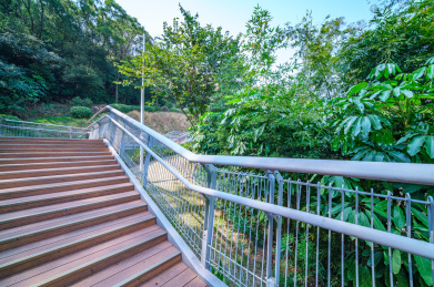 广州麓湖公园休闲环山栈道云道