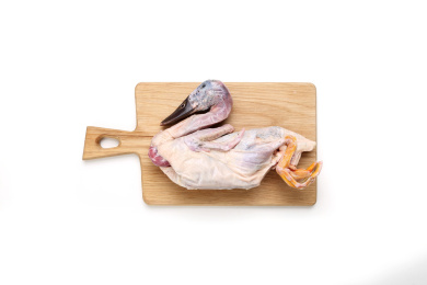 一只新鲜去毛水鸭