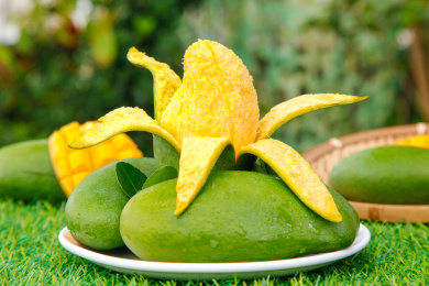 草地上放着青皮桂七芒