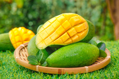 草地上放着青皮桂七芒