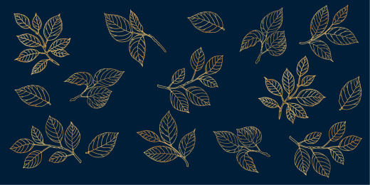 树叶茶叶线稿雕刻叶子矢量标识背景插图