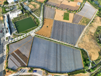 贵州省农科院辣椒研究所官庄示范基地