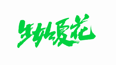 中国手写书法字体生如夏花