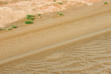 沙丘下笔直的分界线