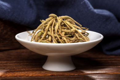 传统中药材金银花特写