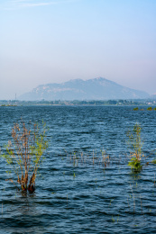 山东济宁邹城孟子湖夏天自然风景景观