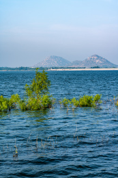 山东济宁邹城孟子湖夏天自然风景景观
