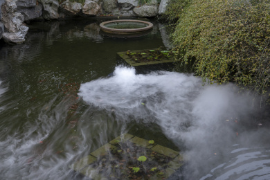 园林池塘中的干冰水雾