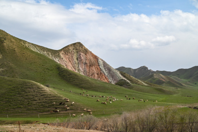 中国新疆昌吉天然牧场
